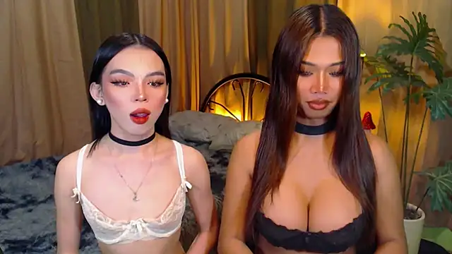 TWINKTRANSSHANEL online show from October 2025 04:32:02 AM