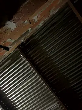 lady and charly online show from January 2026 12:09:02 PM