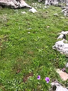 Sert erkek21 ysm online show from March 2026 10:19:02 AM