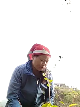 sumaybae online show from October 2025 01:09:02 AM