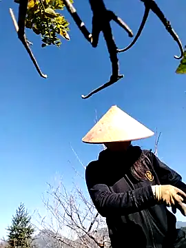 sumaybae online show from November 2025 02:37:02 AM