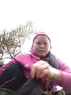 sumaybae online show from December 2025 09:47:01 AM