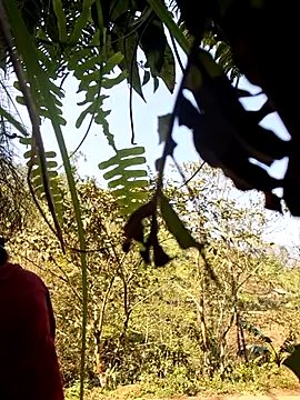 miomio-12 online show from March 2026 03:07:02 AM