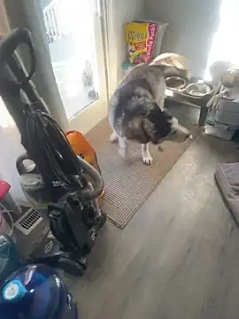 Jcaspen online show from March 2026 01:04:02 PM