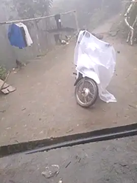 Ripe me online show from November 2025 12:11:02 AM