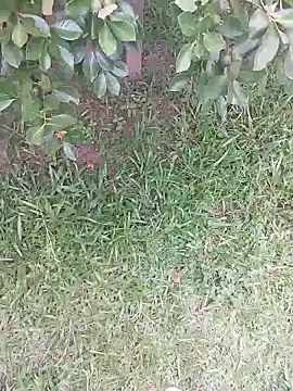 Merlin2310 online show from February 2026 07:40:01 PM