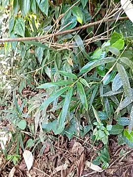 jerry-xx online show from October 2025 12:57:01 AM