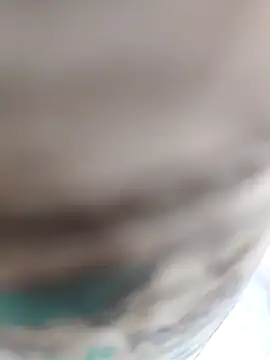 Co punam online show from April 2026 01:06:01 AM