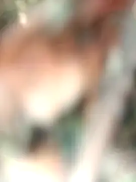 Rt shreya online show from November 2025 05:31:01 AM