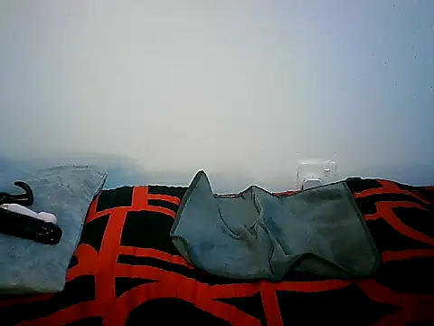 Ntokozo290 online show from November 2025 07:03:02 PM