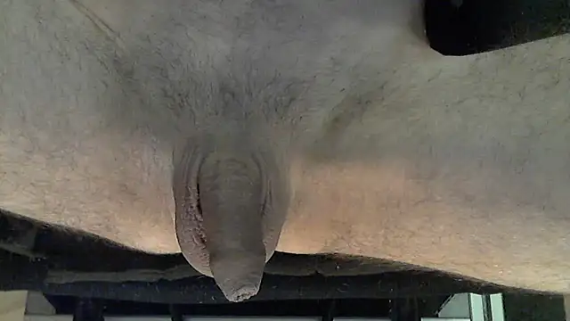 marco pinto online show from February 2026 06:09:01 PM