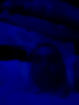 sexdol2 online show from March 2026 09:13:01 AM