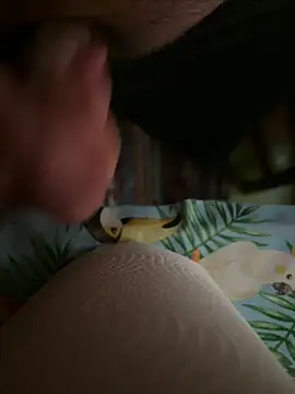 smallcock10cm online show from February 2026 01:50:02 PM