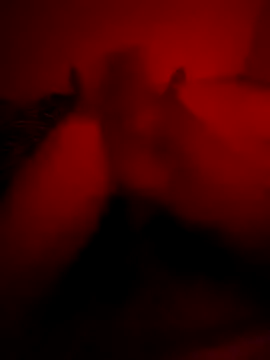 Snapshot of Ktkotabob chatting on October 2025 10:21:02 PM Ktkotabob online show from October 2025 10:21:02 PM