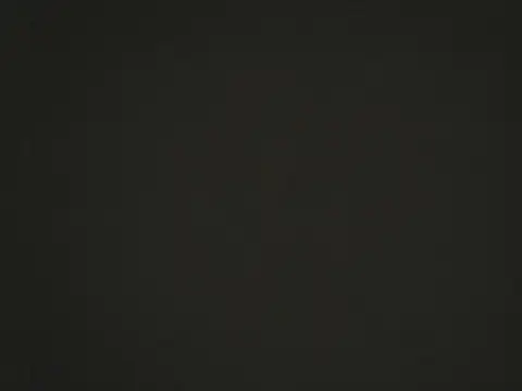 nier 2  online show from October 2025 07:57:02 PM