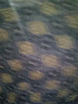 Tanha18 online show from December 2025 06:59:02 PM