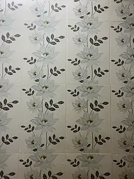 Snapshot of Nipa59 chatting on November 2025 07:52:01 AM Nipa59 online show from November 2025 07:52:01 AM