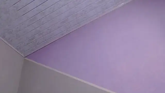 VioletGil Party  online show from December 2025 07:21:01 PM