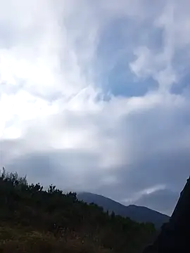 siusiu-00 online show from November 2025 08:24:01 AM