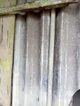 siusiu-00 online show from February 2026 10:14:02 AM