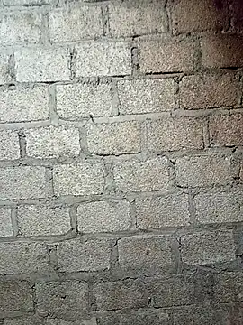 siusiu-00 online show from March 2026 09:53:02 PM