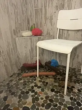 Snapshot of queenkelly1234 chatting on November 2025 08:54:02 PM queenkelly1234 online show from November 2025 08:54:02 PM