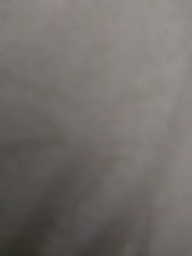 Exibidos online show from November 2025 01:38:02 AM