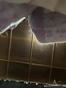 Zoe fire online show from January 2026 03:31:01 AM