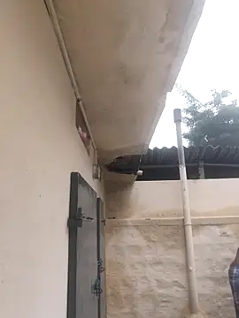 Vickyins480000 online show from November 2025 03:10:02 AM