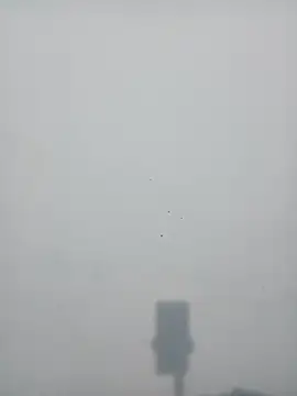 strip queennn online show from November 2025 05:45:01 PM