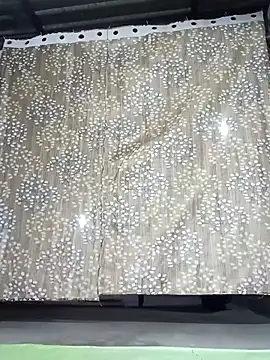 Rajni chauhan online show from November 2025 03:49:01 PM