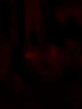 Snapshot of goloso80 chatting on May 2026 02:51:02 AM goloso80 online show from May 2026 02:51:02 AM