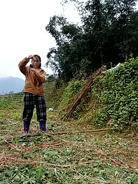 omai-ngot online show from November 2025 02:17:02 AM