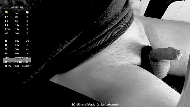 Mister Majestic online show from November 2025 03:34:01 PM