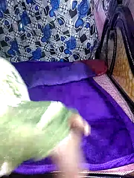 sarika-telugu online show from April 2026 02:51:02 AM