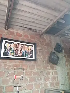 Mijoche9 online show from January 2026 04:00:01 PM