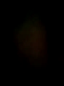 UNIT734 online show from December 2025 05:48:02 AM