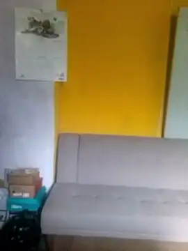 876tom online show from March 2026 05:42:02 PM