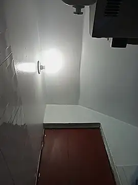 celeste 83 online show from October 2025 04:22:01 PM