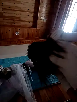 kokoto-59 online show from February 2026 01:09:01 AM