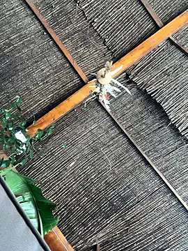 gitanoMad online show from April 2026 01:53:02 PM