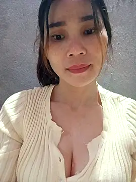 Bear bear0 online show from November 2025 01:27:02 AM