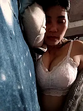 Bear bear0 online show from March 2026 11:16:01 AM