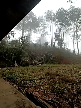 sowbibi online show from December 2025 02:16:02 AM