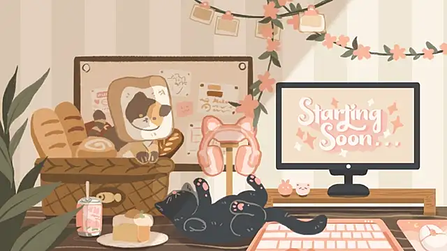 geekycastillo online show from November 2025 03:39:02 AM