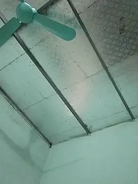  LAN  online show from October 2025 01:35:01 AM