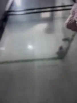 Violeet-Smith online show from March 2026 02:50:01 PM