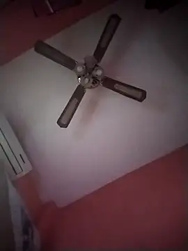 Danii2005 online show from November 2025 01:34:02 PM