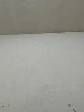 Chicattoo69 online show from November 2025 06:07:01 PM