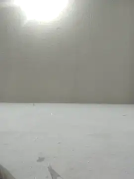 Chicattoo69 online show from December 2025 01:55:02 AM